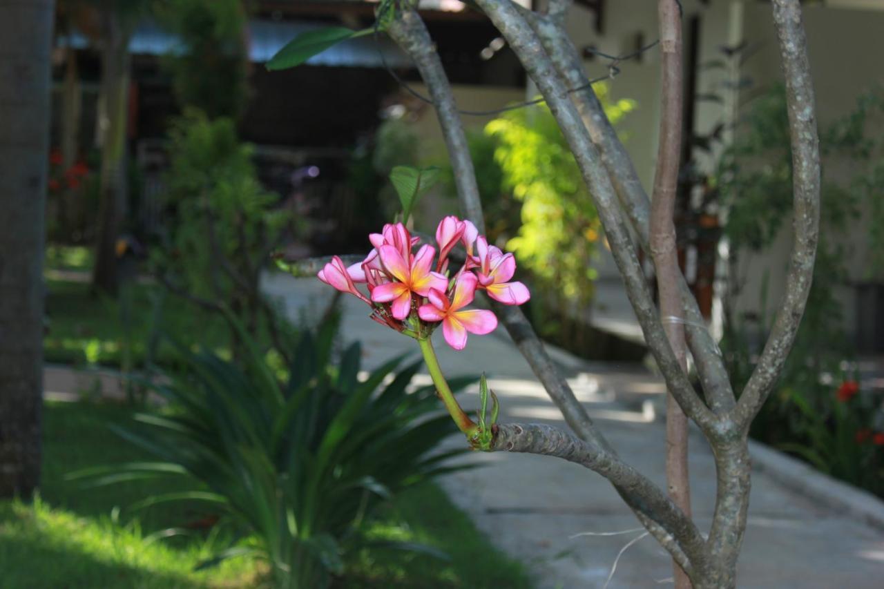 Herry Homestay Kuta  Exterior photo