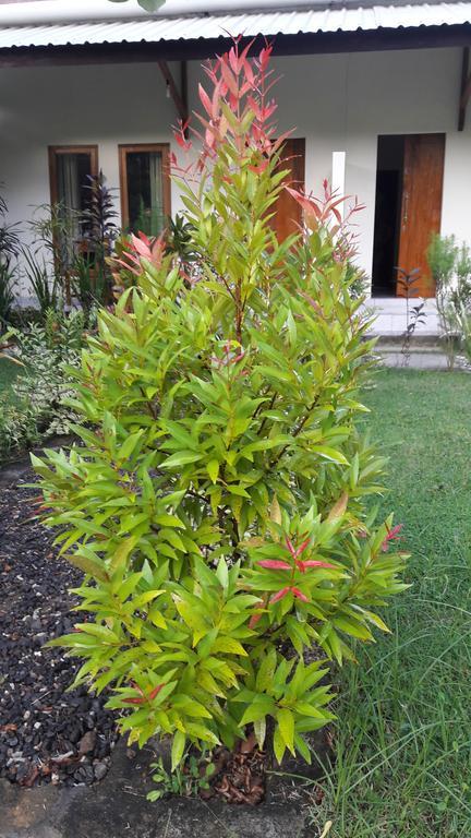 Herry Homestay Kuta  Exterior photo